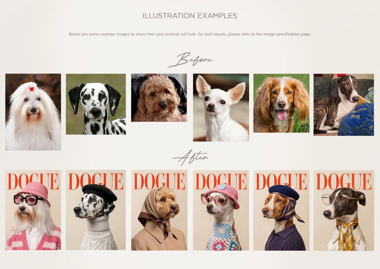Before and after examples of personalised DOGUE dog portraits