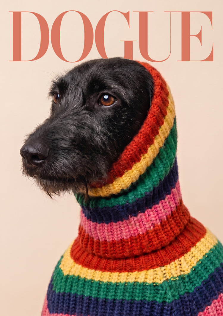A customer's personalised DOGUE dog portrait